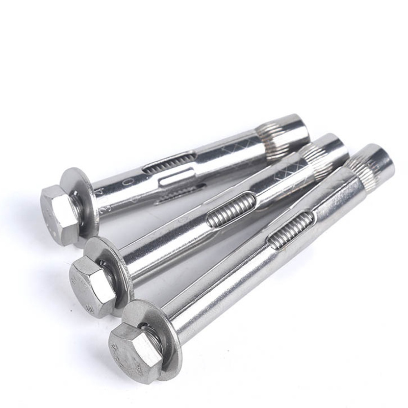 Stainless Steel A2 A4 SS304 SS316 SS201 Hex Nut Sleeve Anchor Expansion Bolt