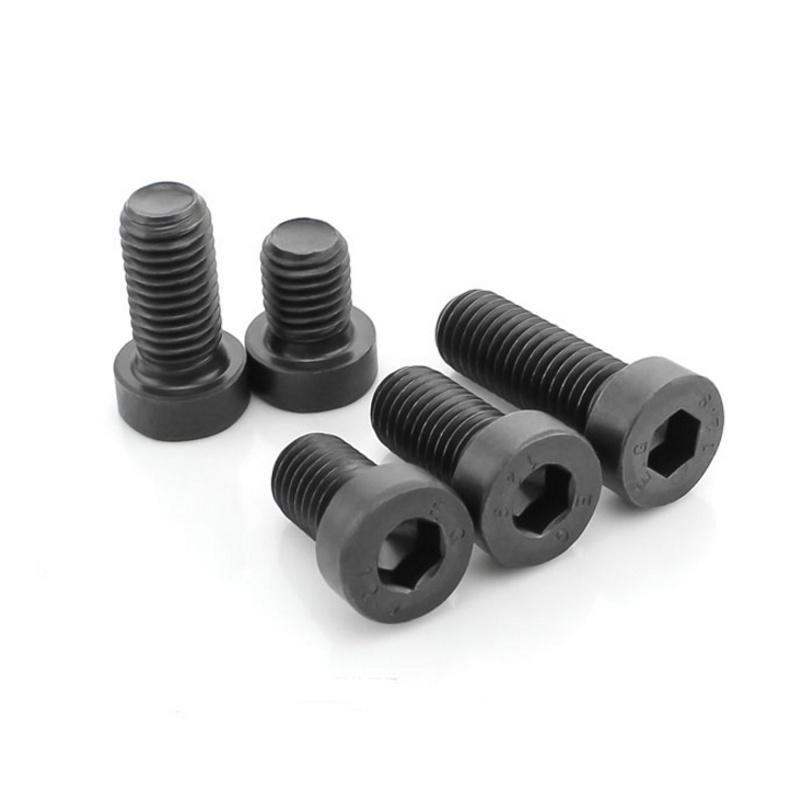High Strength Grade 4.8 8.8 10.9 12.9 Steel Black Oxide DIN7984 Low Head Hex Socket Bolts