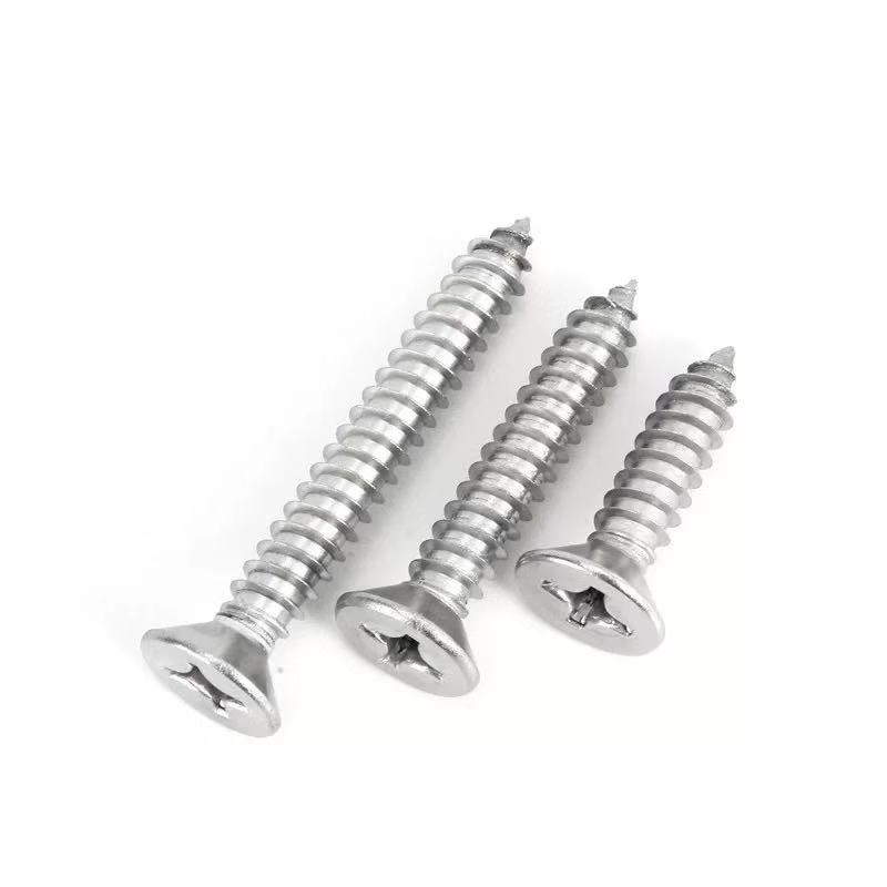 Stainless Steel SS410 Drywall Screws-Hebei Chengyi Engineering