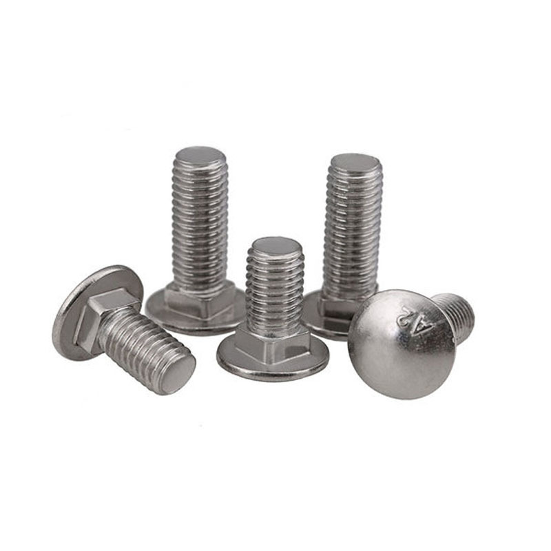 Stainless Steel SS201 SS304 SS316 A2-70 A4-80 DIN603 Carriage Bolts