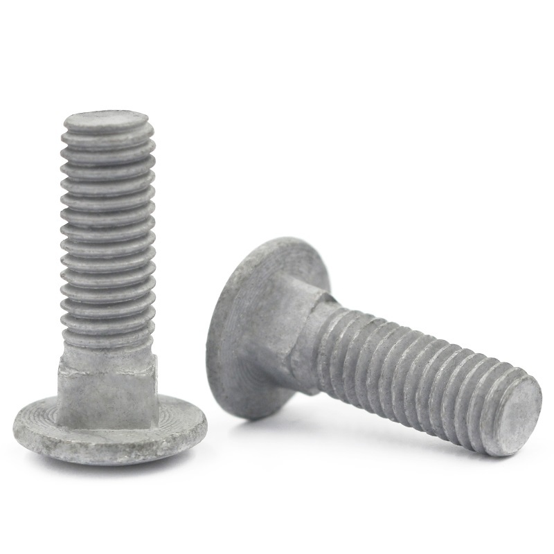 High Strength Grade 4.8 8.8 10.9 12.9 Hot Dip Galvanized HDG DIN603 Carriage Bolts