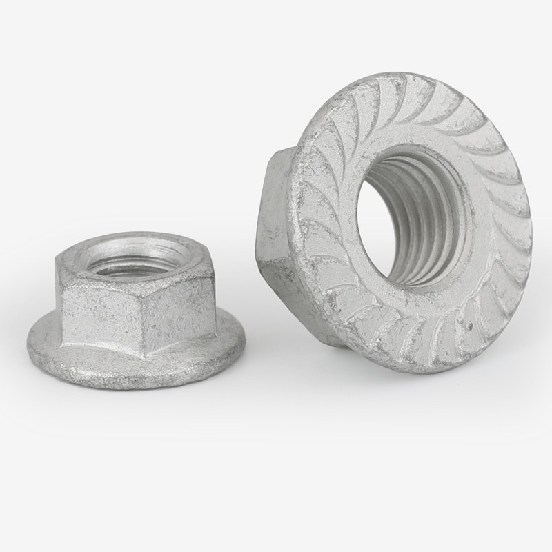 High Strength Grade 4 8 10 12 Steel Hot Dip Galvanized HDG Plated DIN6923 Hex Flange Nuts